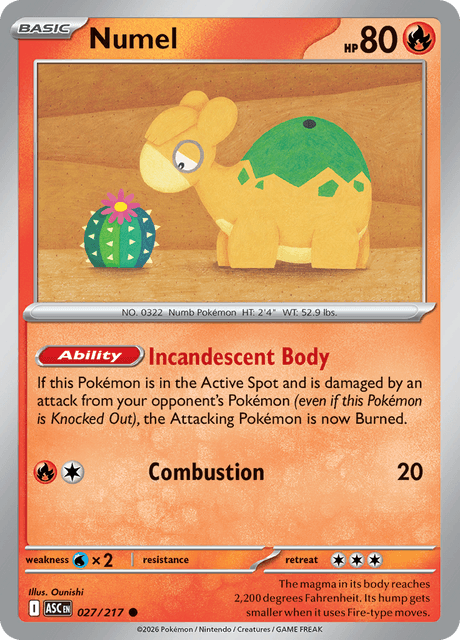 027/217 ASC - Numel