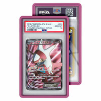 GradedGuard - Standard Case PSA Roze
