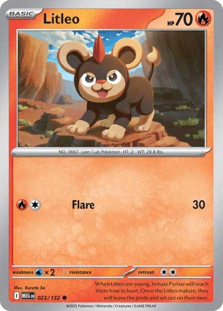 023/132 MEG - Litleo