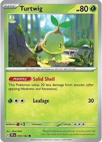 010/162 TEF - Turtwig