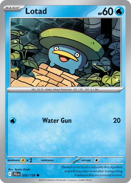 035/159 JTG - Lotad